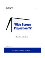 Sony SCCP65HA OEM Owners